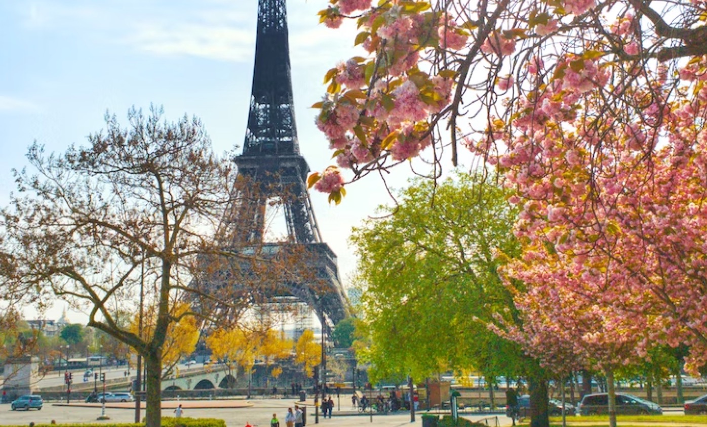 Paris, France travel destination - Lingering for a croissant with chocolate in a summer cafe, r...