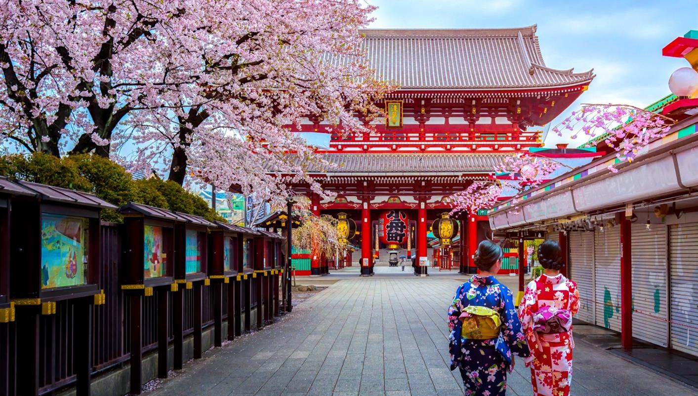 Tokyo, Japan travel destination - Tokyo is a dazzling metropolis where tradition and innovatio...